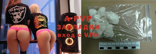 прущие грибы Пролетарск
